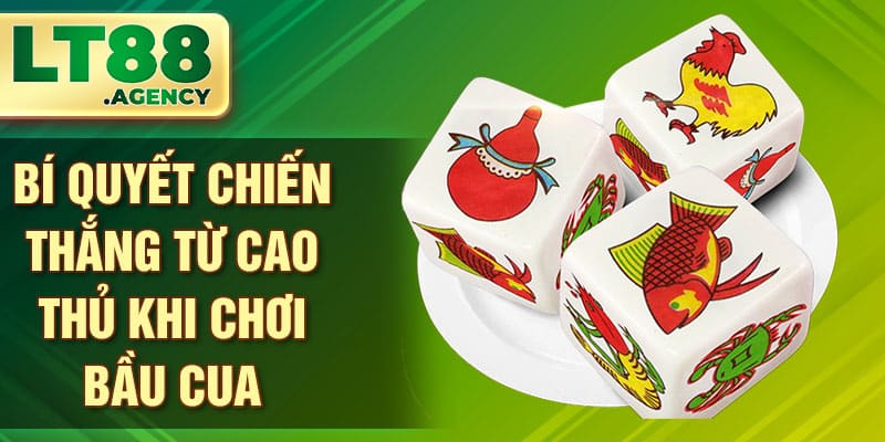 Bí quyết chiến thắng từ cao thủ khi chơi bầu cua